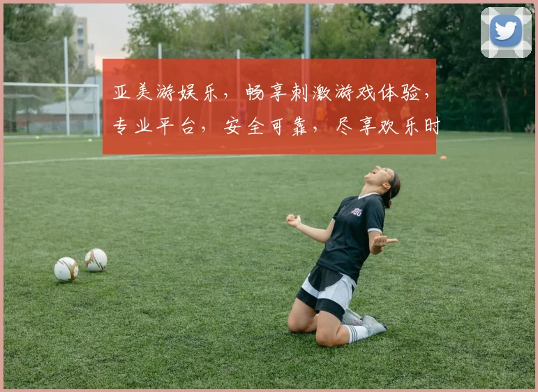 亚美游娱乐，畅享刺激游戏体验，专业平台，安全可靠，尽享欢乐时光