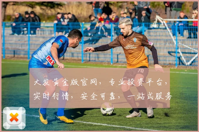 大发黄金版官网，专业投资平台，实时行情，安全可靠，一站式服务，尽在大发黄金版官网，诚邀体验