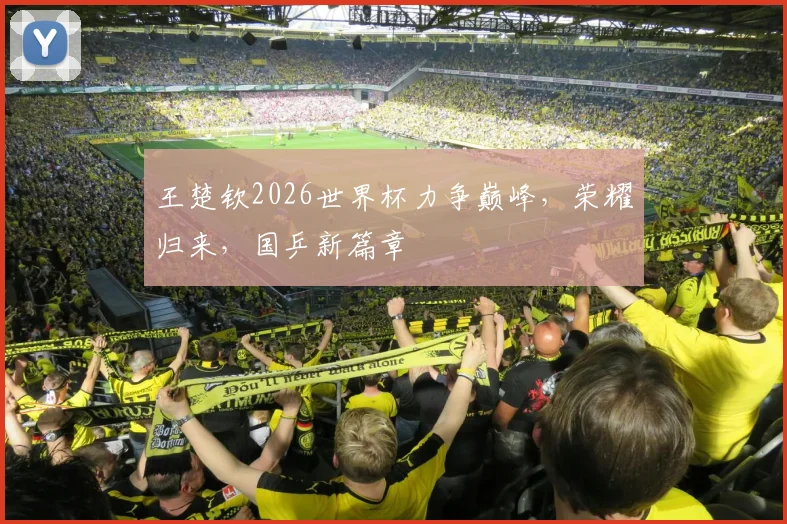 王楚钦2026世界杯力争巅峰，荣耀归来，国乒新篇章