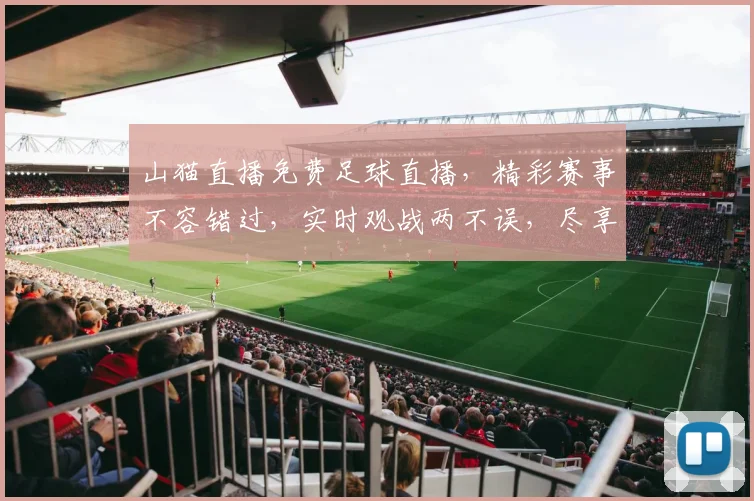 山猫直播免费足球直播，精彩赛事不容错过，实时观战两不误，尽享运动激情