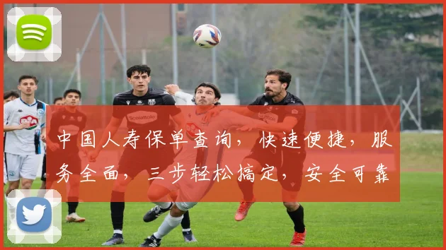 中国人寿保单查询，快速便捷，服务全面，三步轻松搞定，安全可靠，体验非凡。